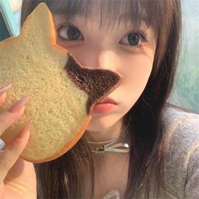 联邦调查局第五季